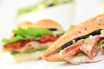 Fresh delicious sandwich