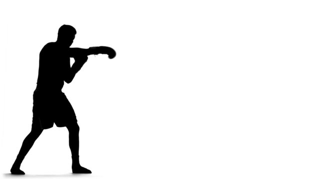 Boxer Spars (silhouette)