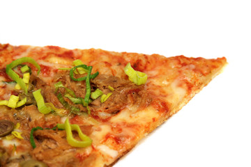 Pizza slice close-up