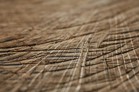 Holz