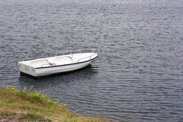 White rowboat anchored near meadow