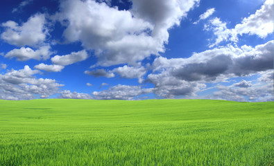 Obraz premium Landscape with perfect sky