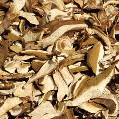 dried porcini on italian market