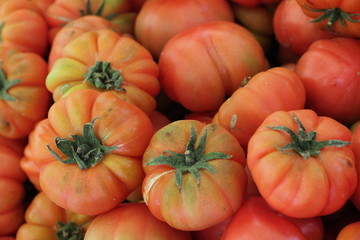 Heirloom tomatoes sale