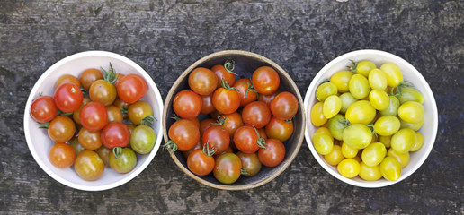 Three bowls of Tomatoes