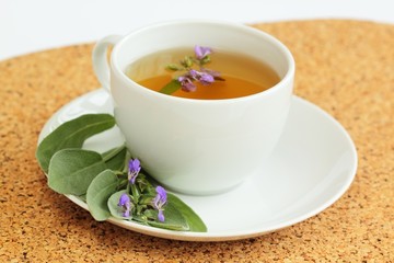 Teacup with herbal sage tea /Salvia officinalis/