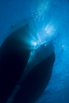 Underwater view of boat silhouettes with sunrays.