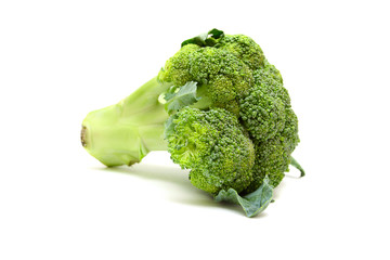 Broccoli isolated on white