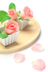 rose