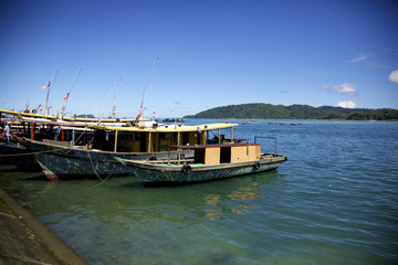Borneo 2010