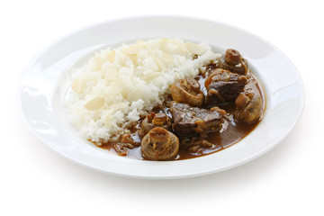 Japanese Curry , Beef Curry with Rice