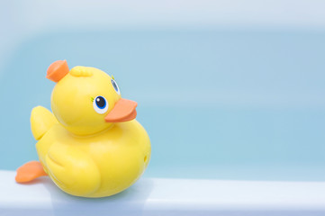 アヒルのおもちゃ