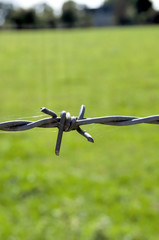 fil de fer barbel&eacute;