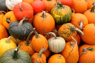 Gourds, Gourds, Gourds IV