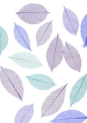 Obraz premium Leaves