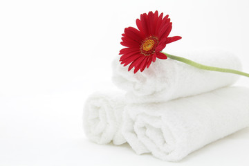 Red gerbera and towels