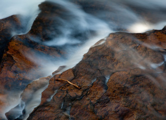 Autumn leaves in river