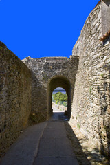 Fototapeta premium france; 85; vouvant : village médiéval