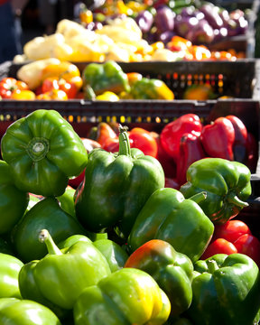 Multicolored peppers