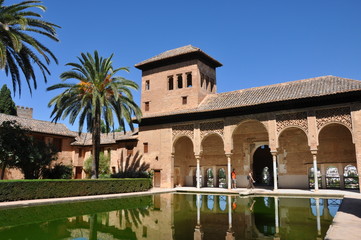 Fototapeta premium Alhambra - Andalousie - Espagne