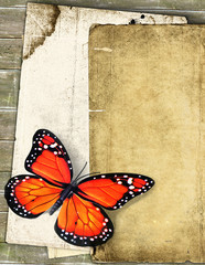 Obraz na płótnie Canvas vintage album page with butterfly background
