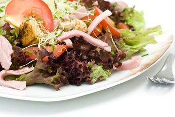 appetizing healthy salad on a plate