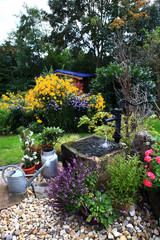 Fototapeta na wymiar Pompa ręczna i koryta w ogrodzie