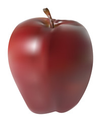 vector red delicious apple