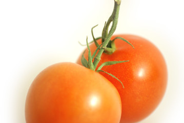Tomaten