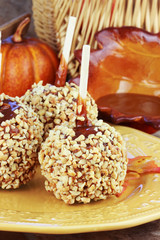 Candy Apples