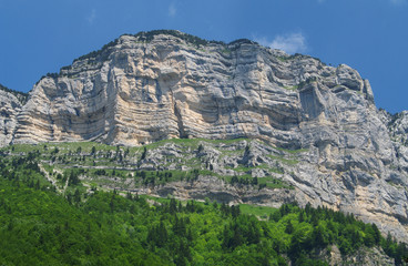 Fototapeta na wymiar massif de chartreuse