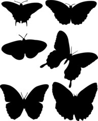 butterfly silhouette collection vector
