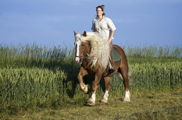 Reiterin auf Kaltblutpferd mit langer Mähne