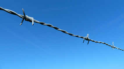 barbwire in blue 3