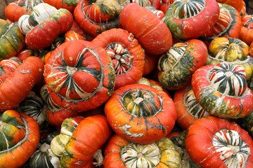 Bischofsmütze-Turks Turban