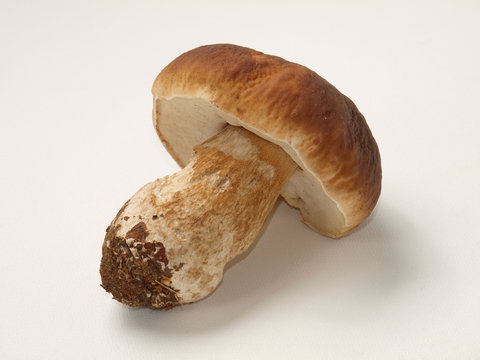 c&eacute;pe
