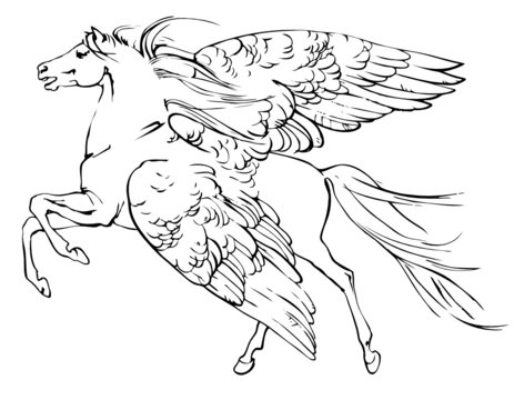 Pegasus sketch