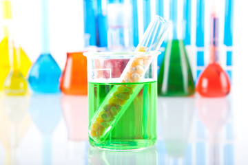 Genetically modified organism