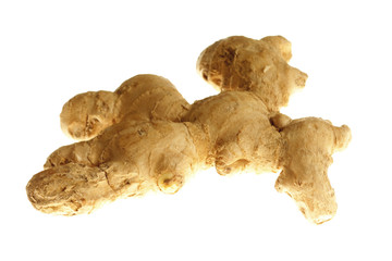 Root Ginger