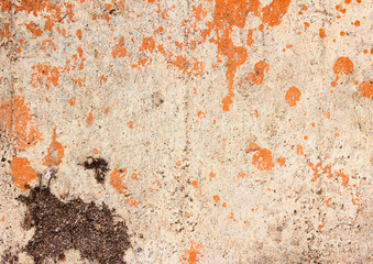 Fototapeta premium texture