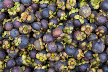 Ripe mangosteens