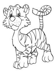 Tiger, Raubkatze, Indien, Asien, Tigerbaby