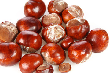 Chestnuts