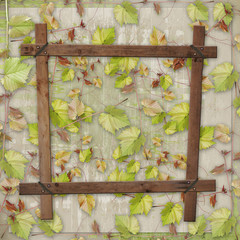 Wooden frame with a branch of the vine