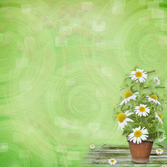 Grunge paper with beautiful bunch of daisy for design