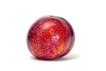 Obraz premium plum