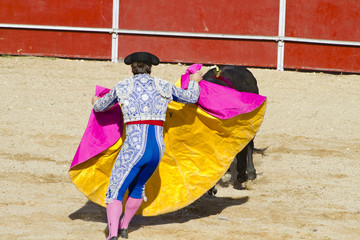 Matador und Stier im Stierkampf. Madrid, Spanien.