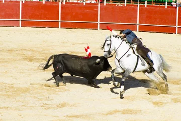 Fotobehang Stierenvechten Stierengevecht te paard. Typisch Spaans stierengevecht.