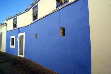 Blu Carmona