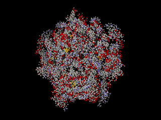 Hemoglobin ball and stick model render
